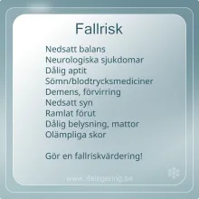 Checklista fallrisk